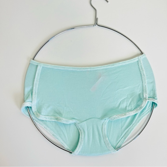 NWT PINK Victoria’s Secret ‘Snow Day’ Mint Velvet Boyshort Underwear Panty - Picture 13 of 13